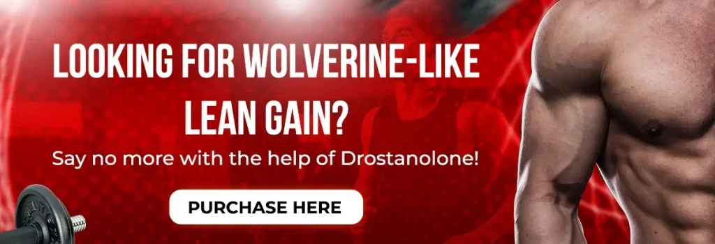 digestivehealth5-1024x350 digestivehealth5-1024x350