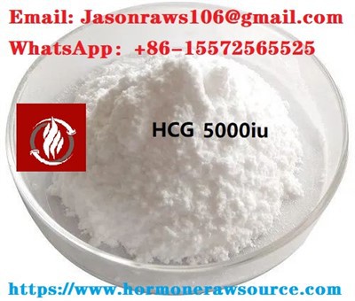 Poudre de matière première de HCG (gonadotrophine chorionique humaine) pour le bodybuilding CAS : 9002-61-3