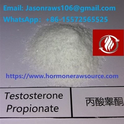 Testostérone Poudre de stéroïde propionate pour la musculation CAS: 57-85-2