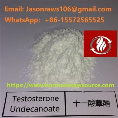 Testostérone Uncanoate Stéroïde Powder Bodybuilding Cas: 5949-44-0