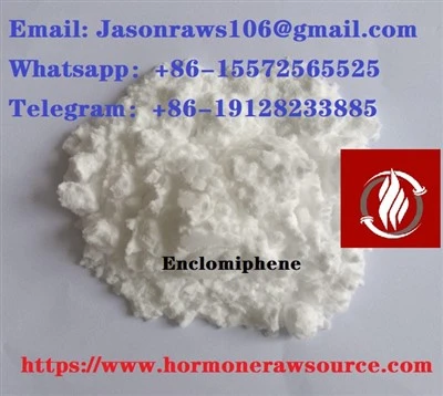 Poudre d'enclomifène de qualité supérieure-pour le bodybuilding CAS : 15690-57-0