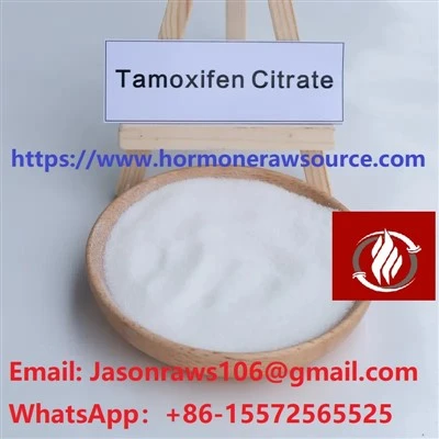 Poudre de Nolvadex (citrate de tamoxifène) de qualité supérieure-pour le bodybuilding CAS : 54965-24-1