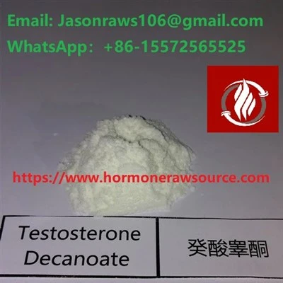 Quelle est la différence entre le décanoate de testostérone et l’énanthate ?