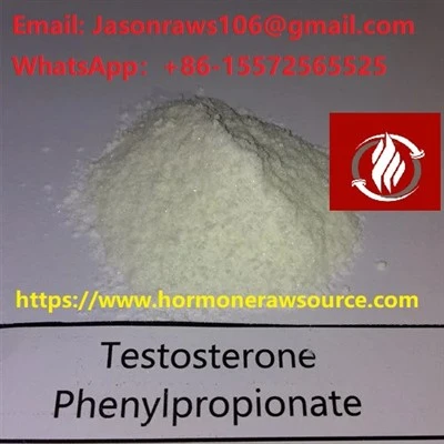 Poudre de phénylpropionate de testostérone de qualité supérieure-pour le bodybuilding CAS : 1255-49-8